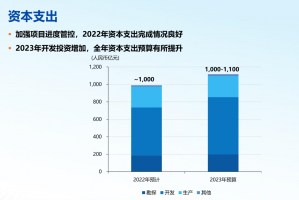 й͹2023ƻͶʳ1000ԪŴصĿͶ